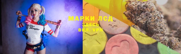 винт Алексин
