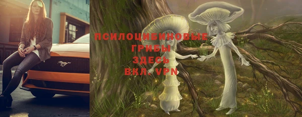 экстази Алзамай