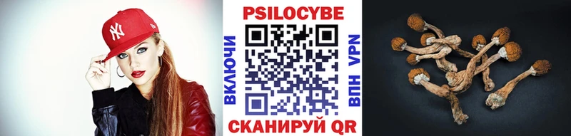 Псилоцибиновые грибы Cubensis  купить наркотик  Кирс 